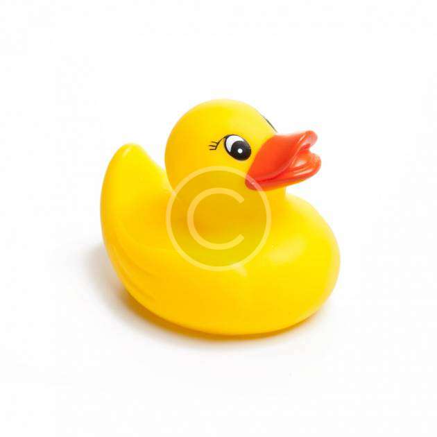 Rubber Duck